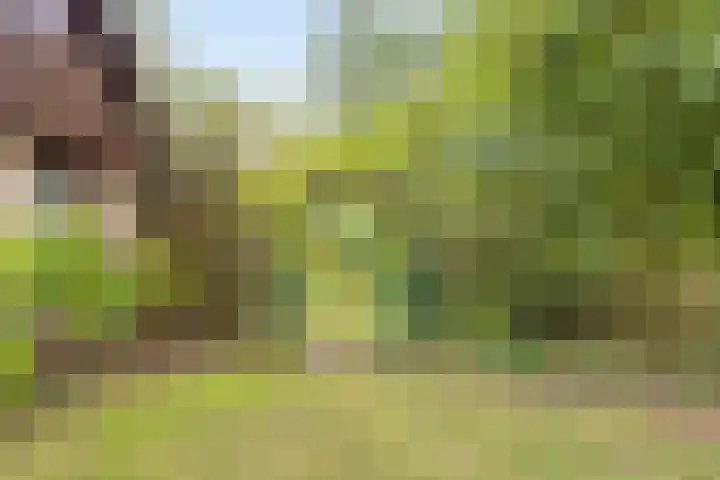 Acacialaan 4 Burgh-Haamstede thumbnail 36
