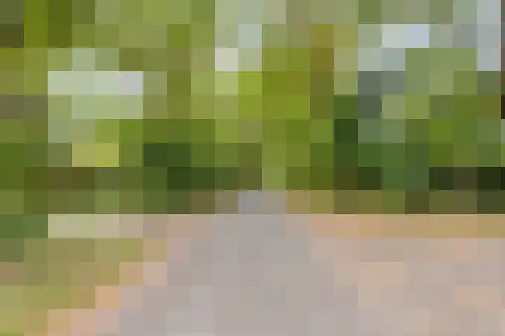 Acacialaan 4 Burgh-Haamstede thumbnail 37