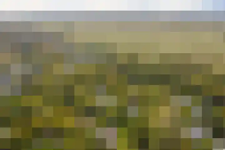 Acacialaan 4 Burgh-Haamstede thumbnail 39