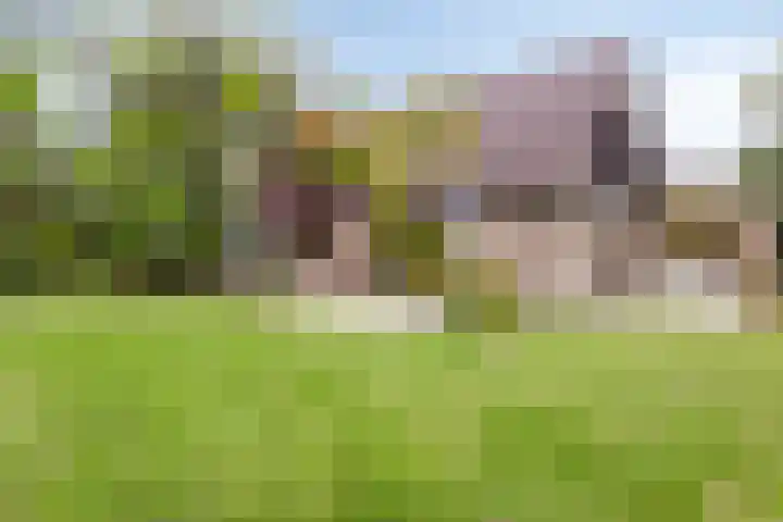 Acacialaan 4 Burgh-Haamstede thumbnail 4