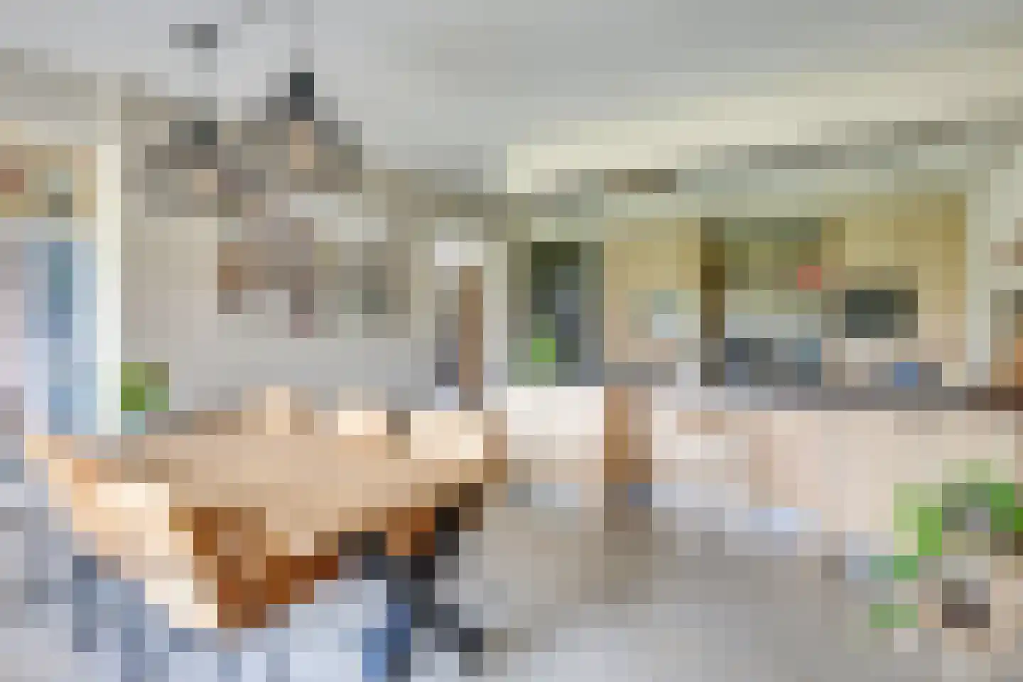 Acacialaan 4 Langenboom thumbnail 19