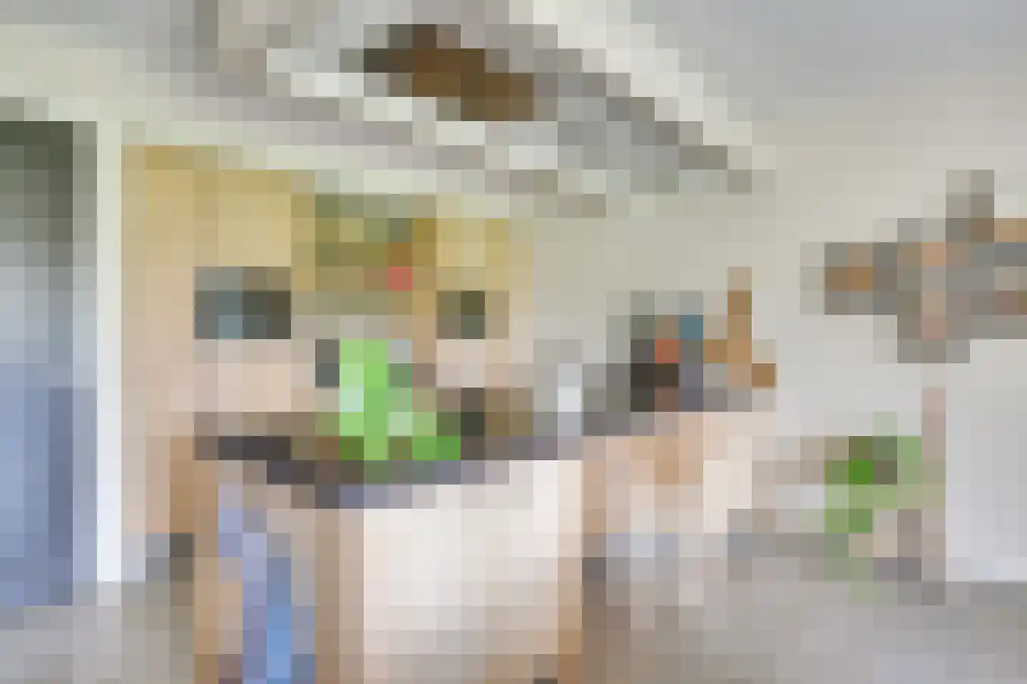 Acacialaan 4 Langenboom thumbnail 20