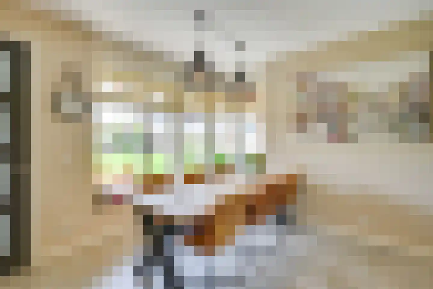 Acacialaan 4 Langenboom thumbnail 21