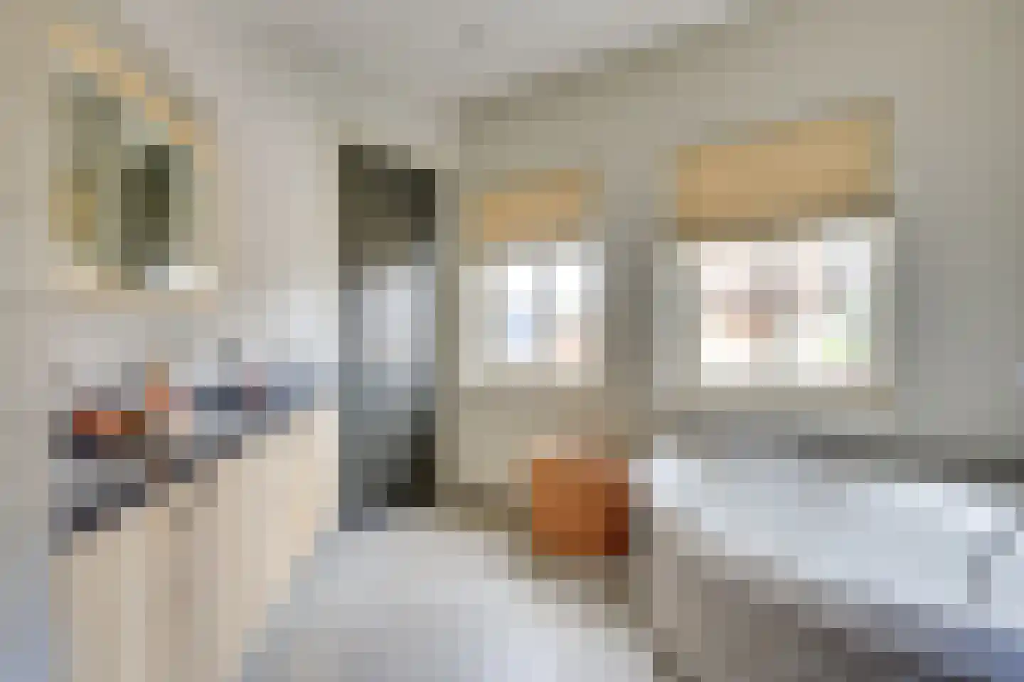 Acacialaan 4 Langenboom thumbnail 32