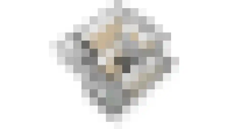 Acacialaan 4 Langenboom thumbnail 38