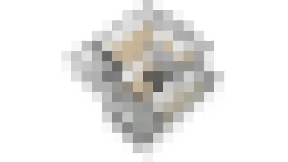 Acacialaan 4 Langenboom thumbnail 38