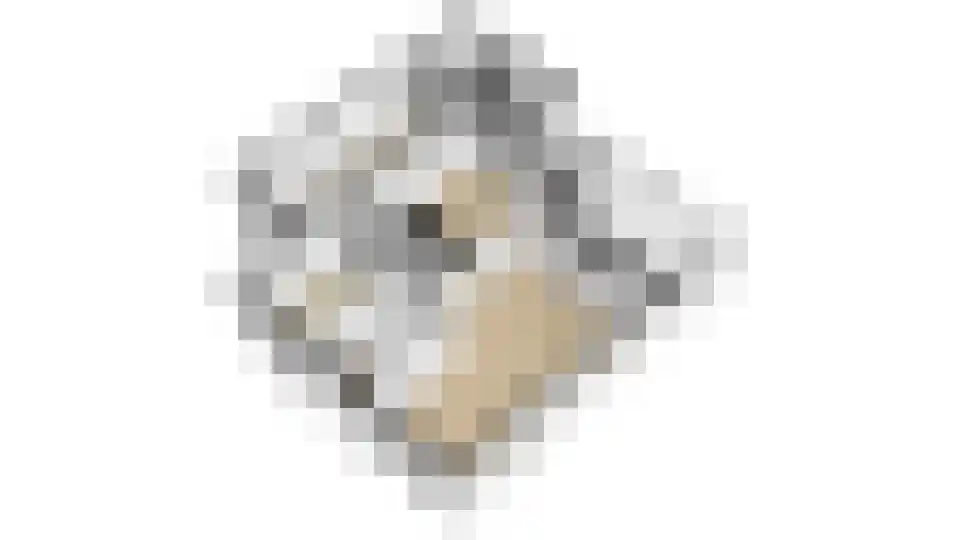 Acacialaan 4 Langenboom thumbnail 39