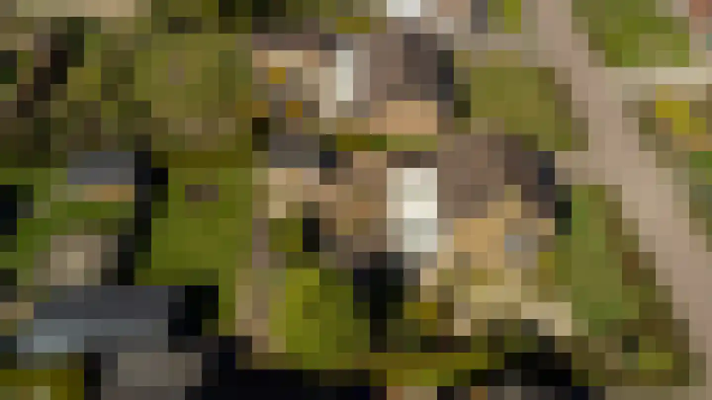 Acacialaan 4 Netterden thumbnail 45