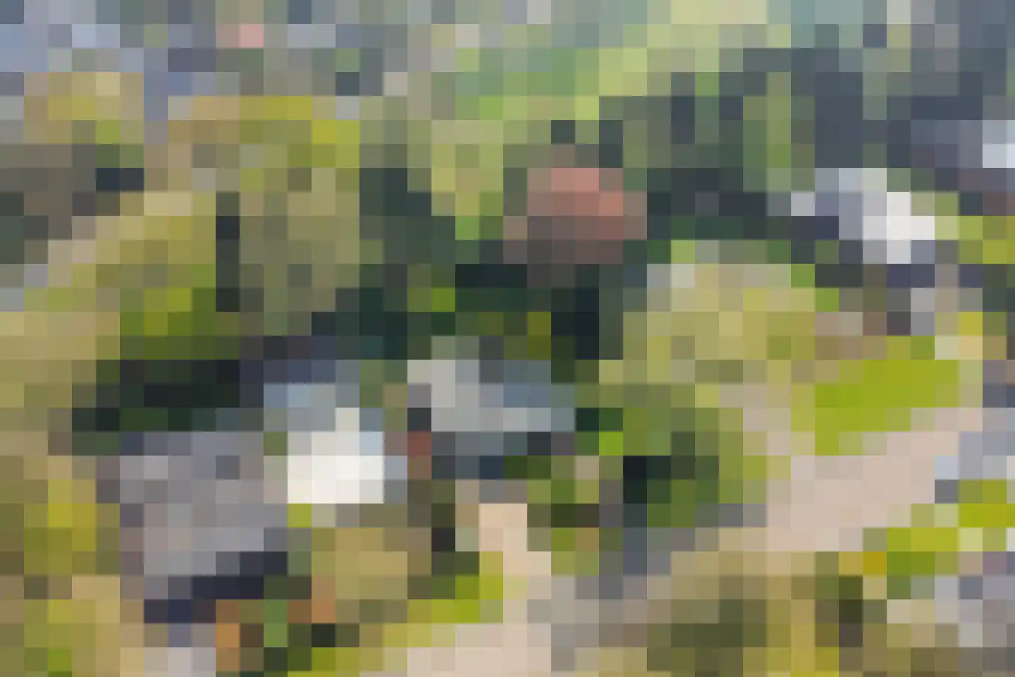 Acacialaan 4 Oss thumbnail 16