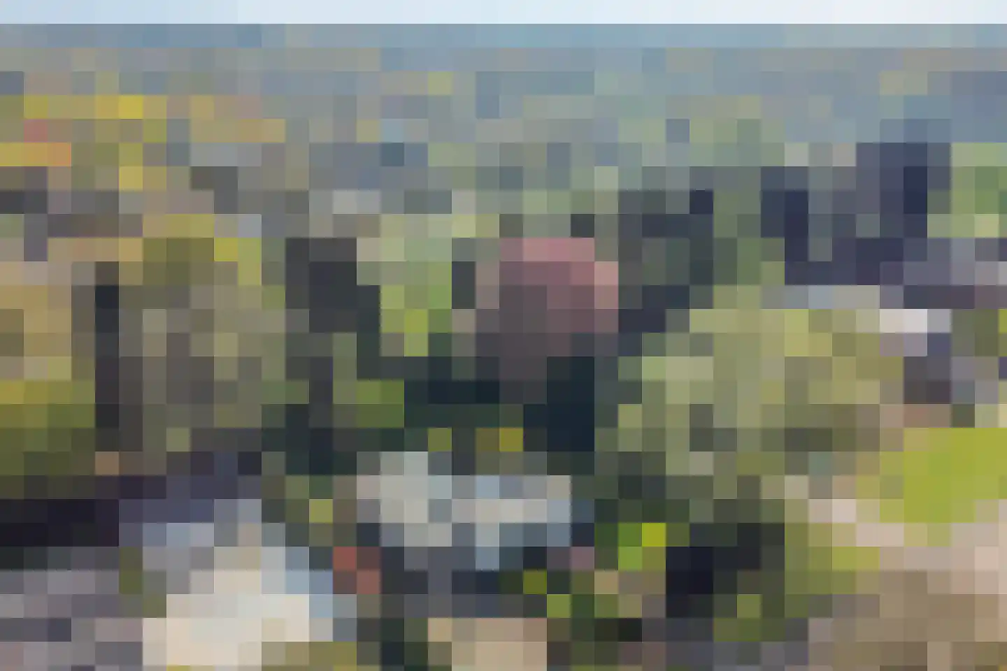Acacialaan 4 Oss thumbnail 17