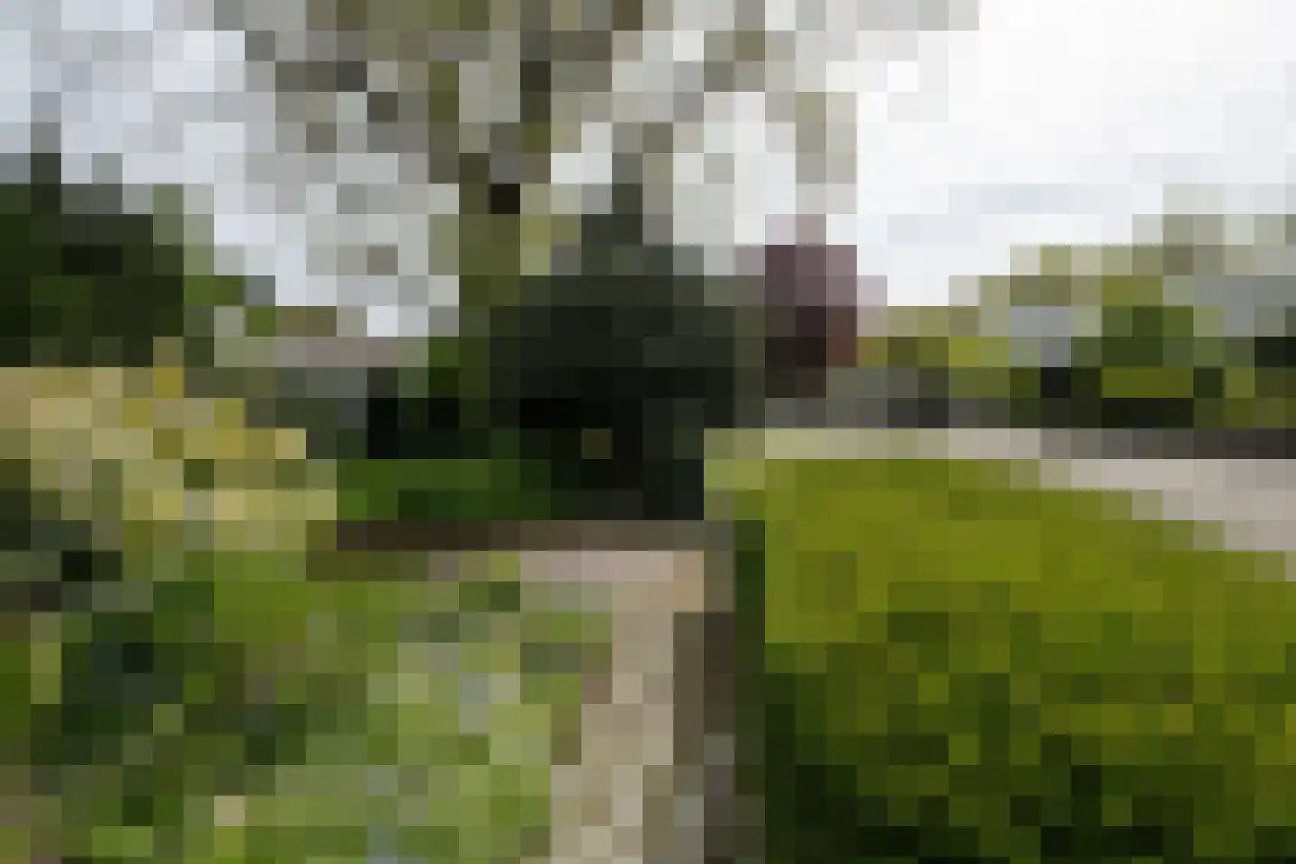 Acacialaan 4 Oss thumbnail 19