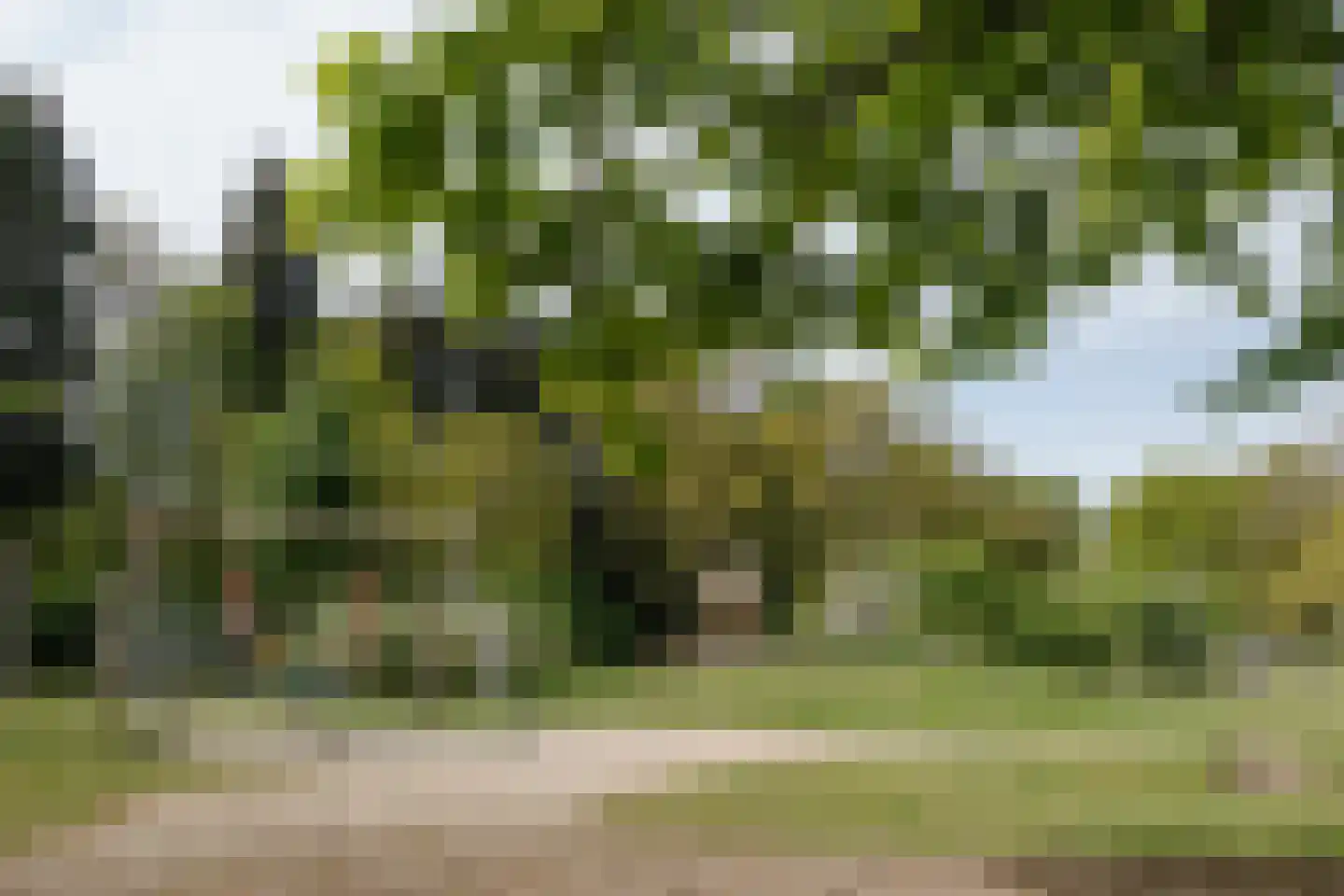 Acacialaan 4 Oss thumbnail 20