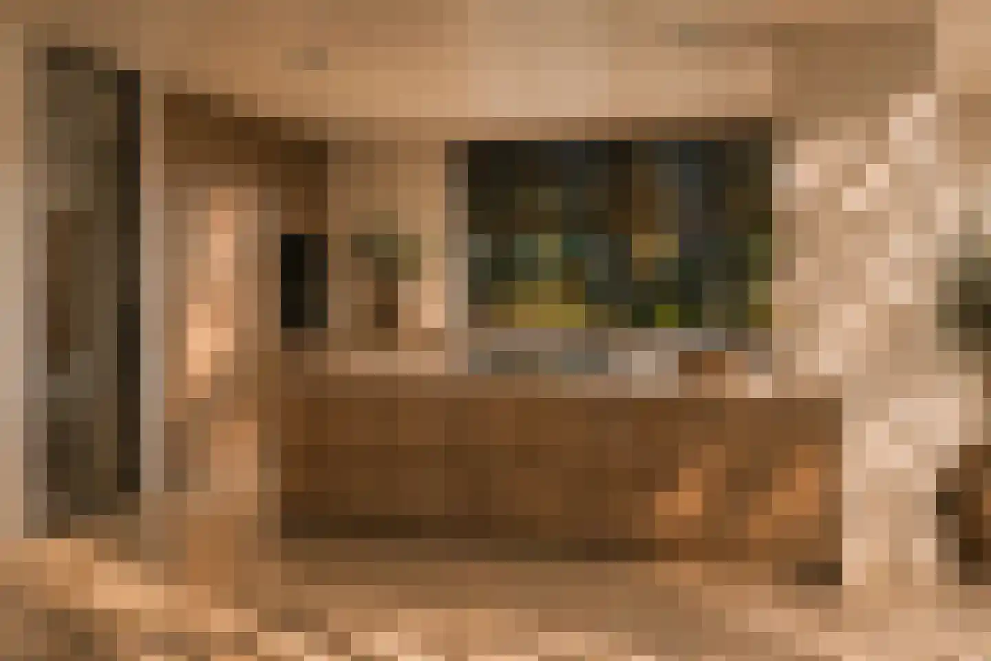 Acacialaan 4 Oss thumbnail 6