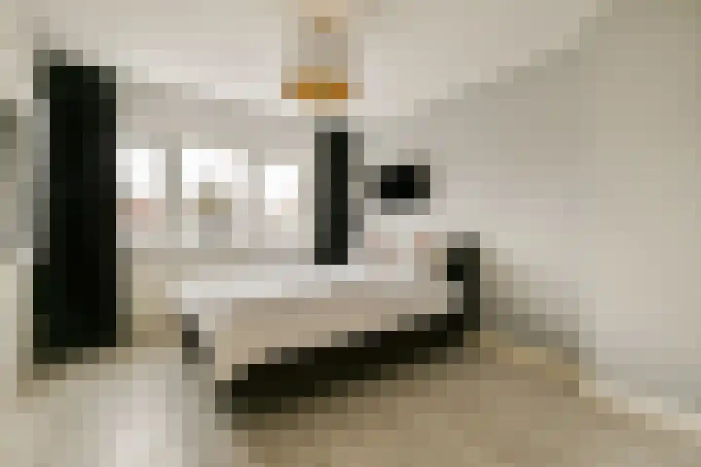 Acacialaan 40 Beverwijk thumbnail 22