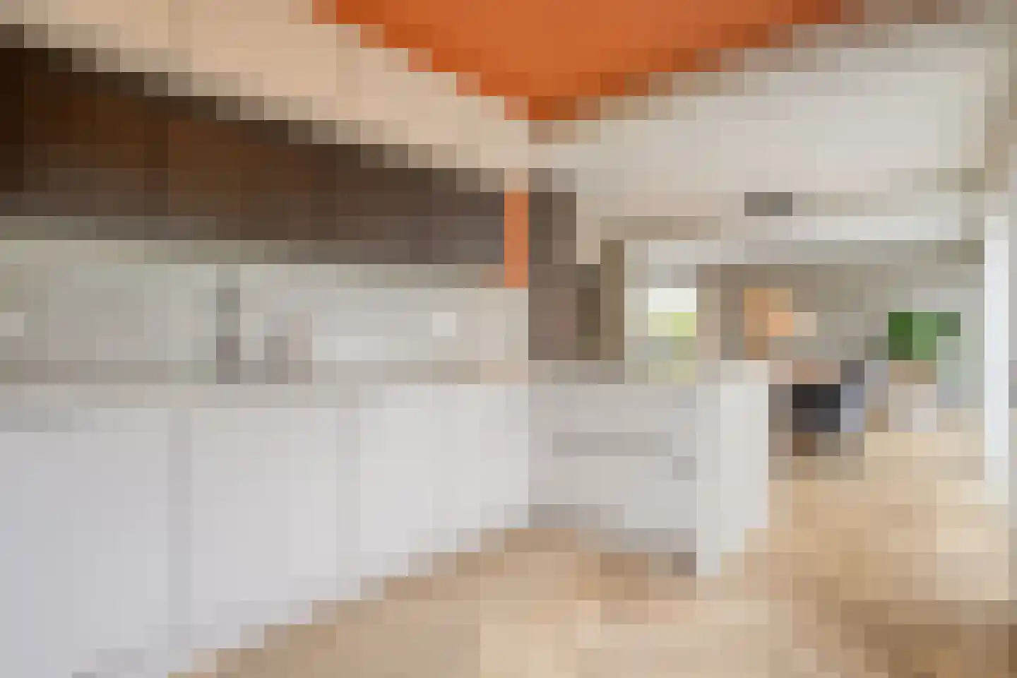 Acacialaan 42 Aadorp thumbnail 11
