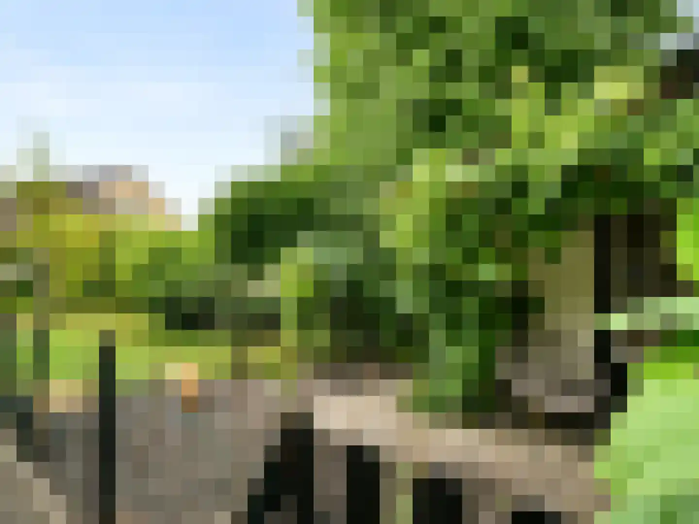 Acacialaan 42 Aadorp thumbnail 35