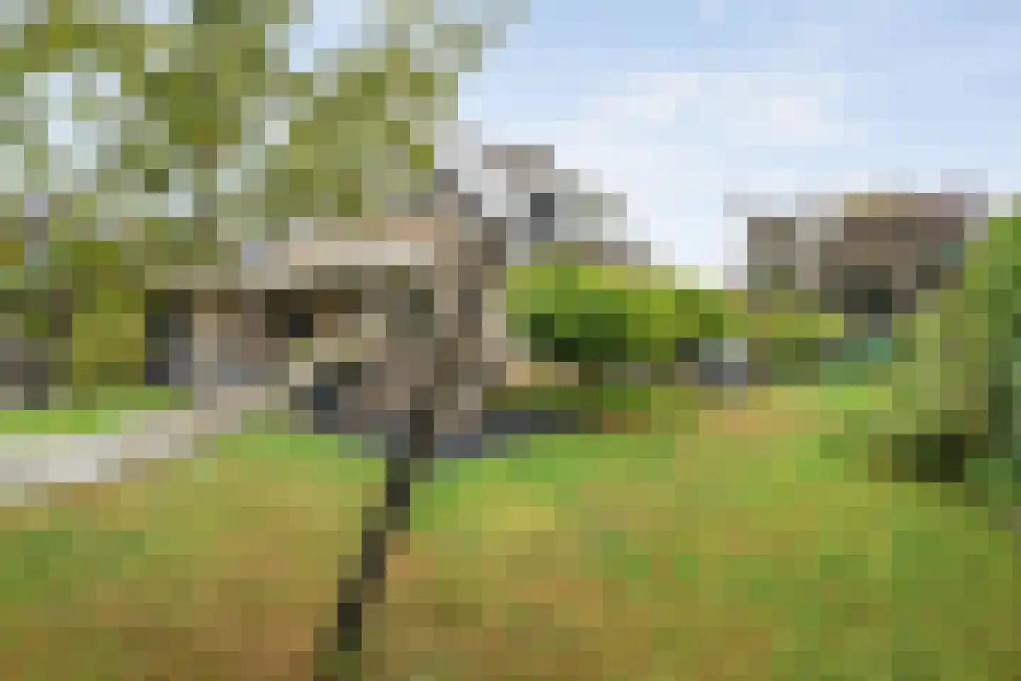 Acacialaan 42 Aadorp thumbnail 36
