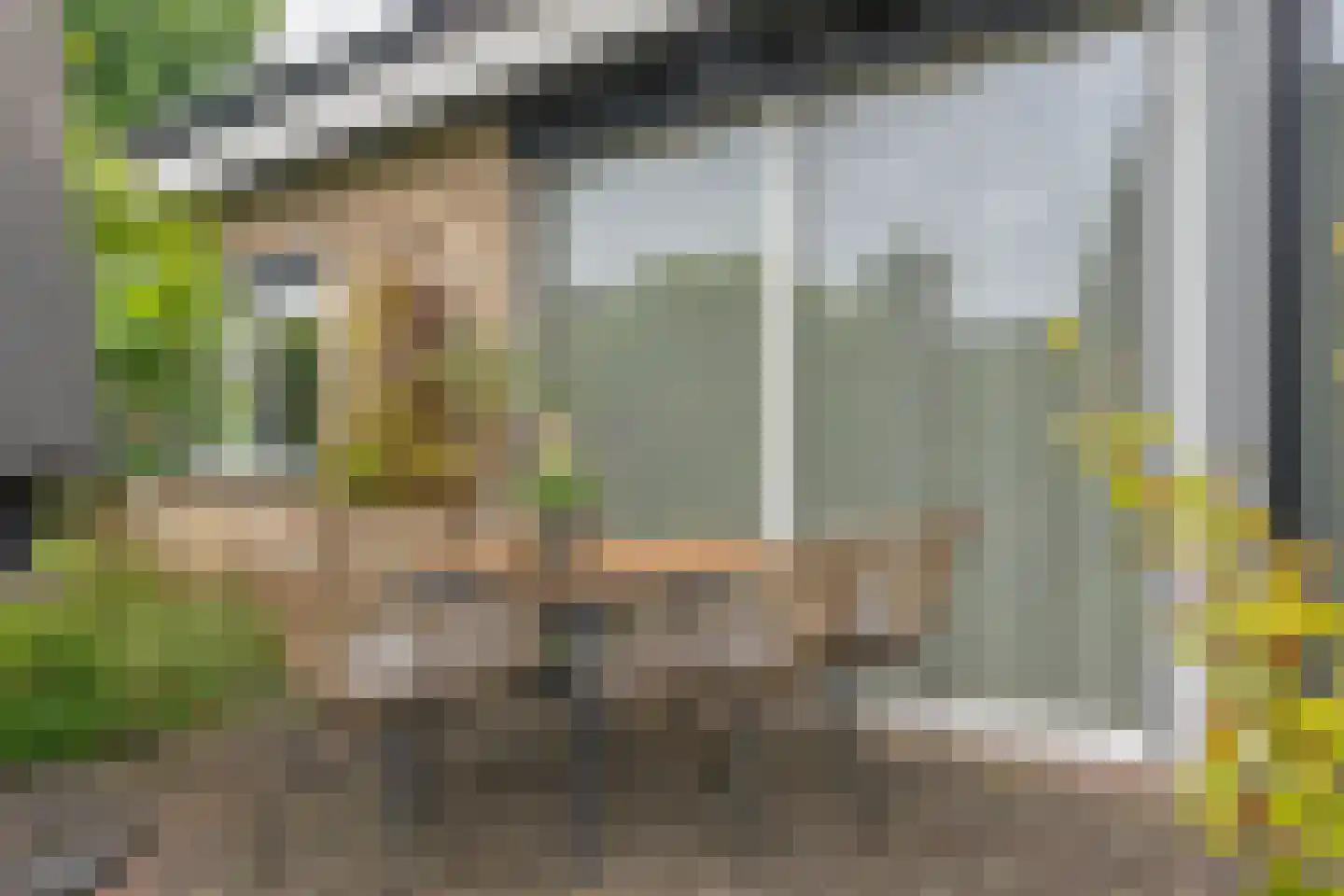 Acacialaan 42 Aadorp thumbnail 38