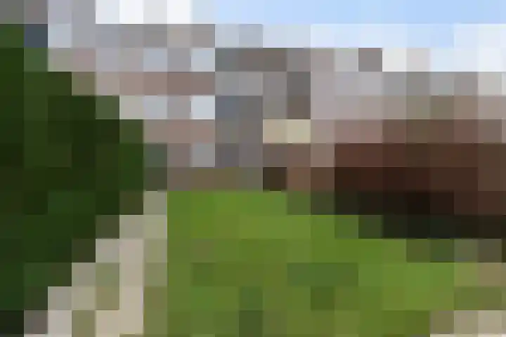 Acacialaan 44 Rijswijk thumbnail 23