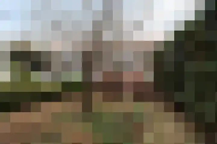 Acacialaan 44 Rijswijk thumbnail 26