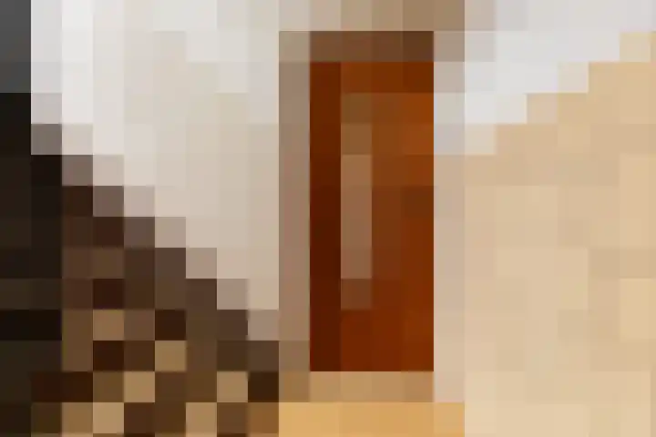 Acacialaan 44 Rijswijk thumbnail 8