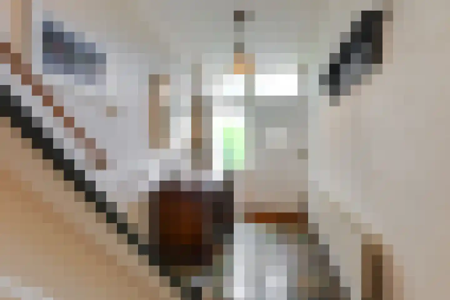Acacialaan 5 Leiderdorp thumbnail 12