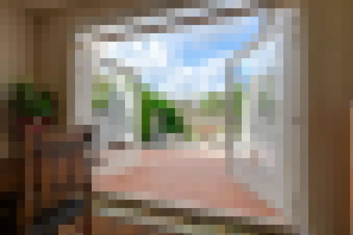 Acacialaan 5 Leiderdorp thumbnail 21