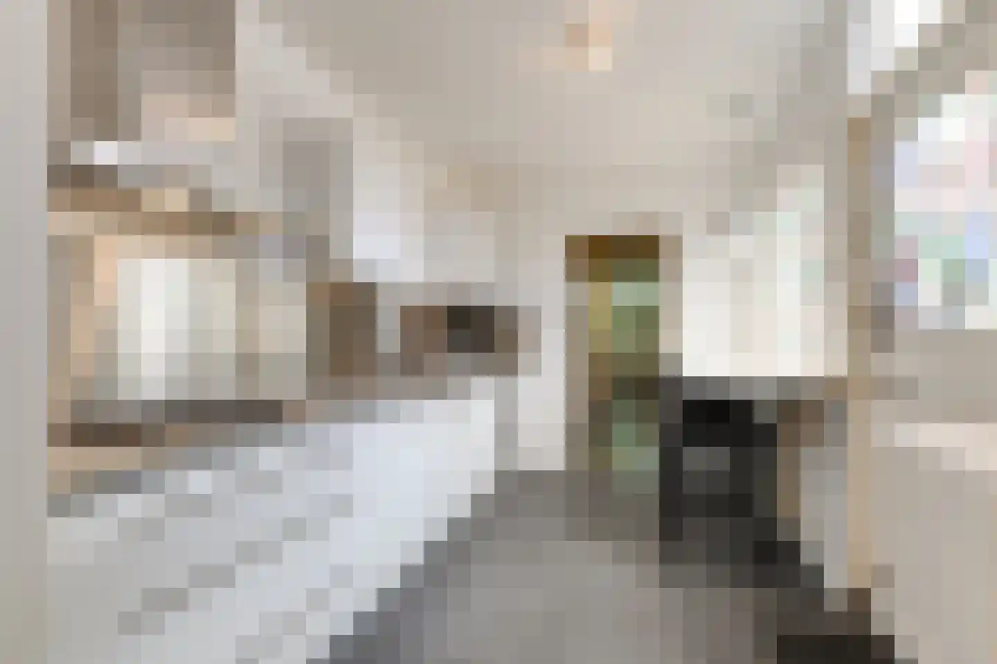 Acacialaan 5 Leiderdorp thumbnail 24