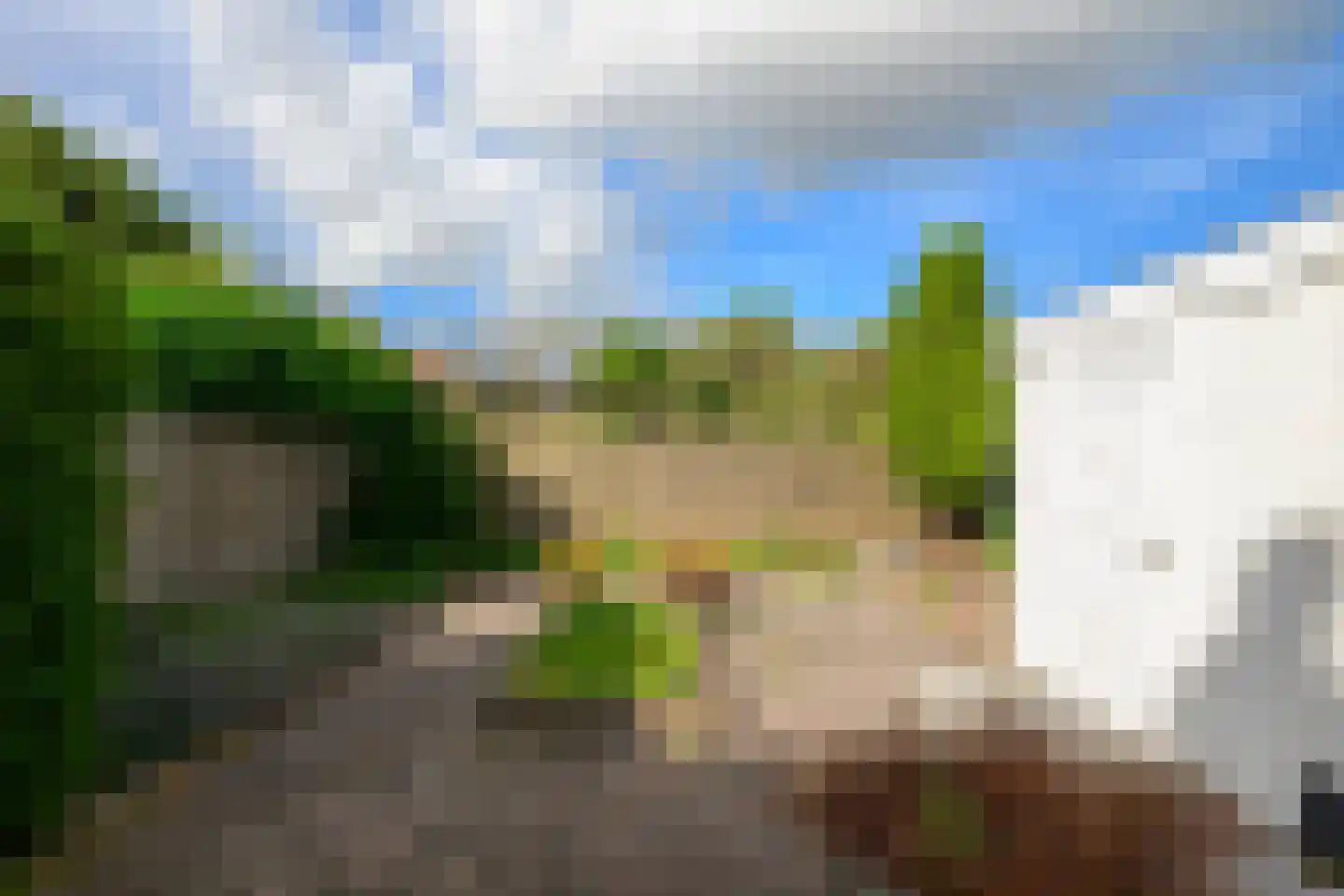 Acacialaan 5 Leiderdorp thumbnail 28