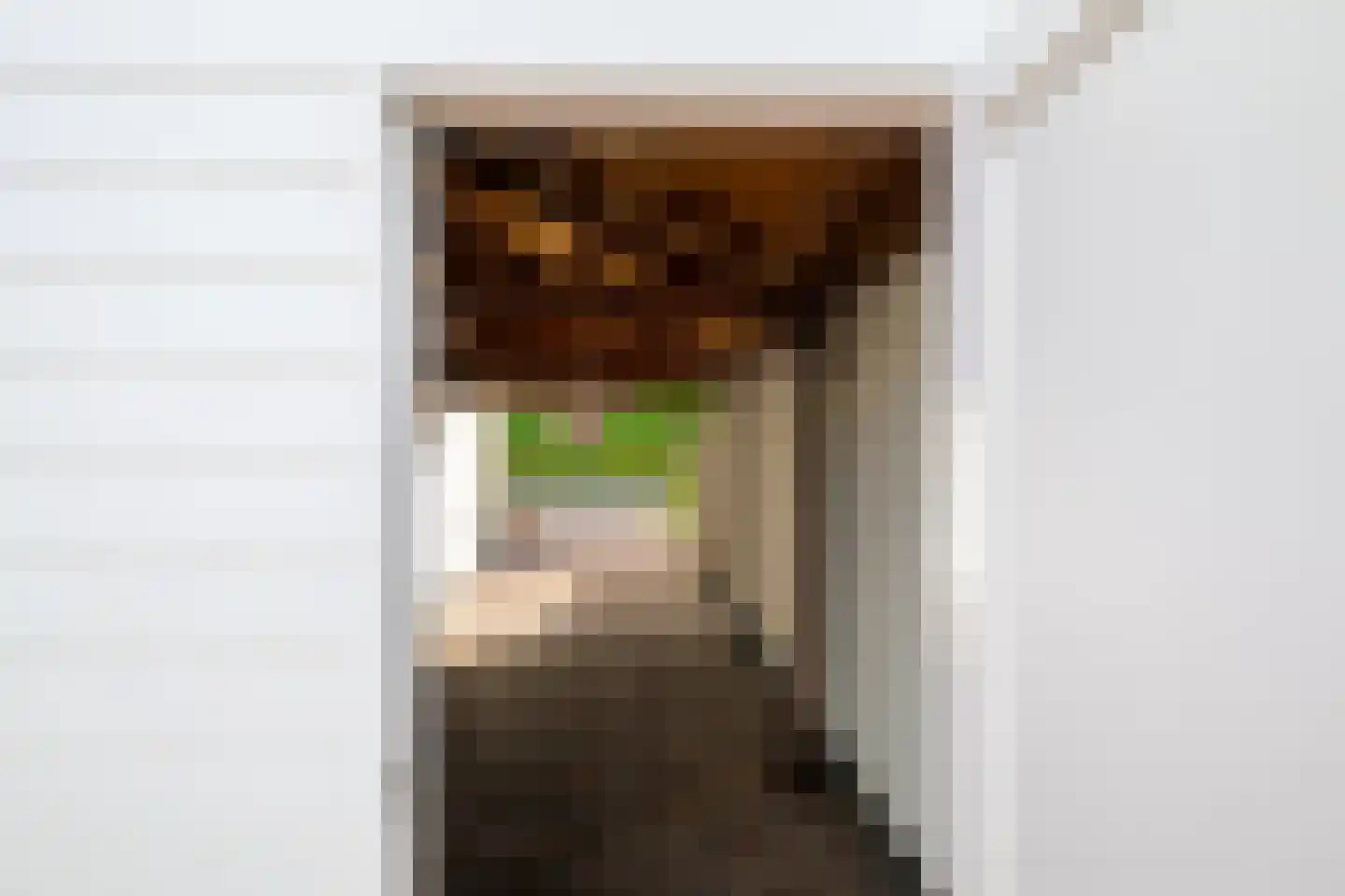 Acacialaan 5 Leiderdorp thumbnail 34