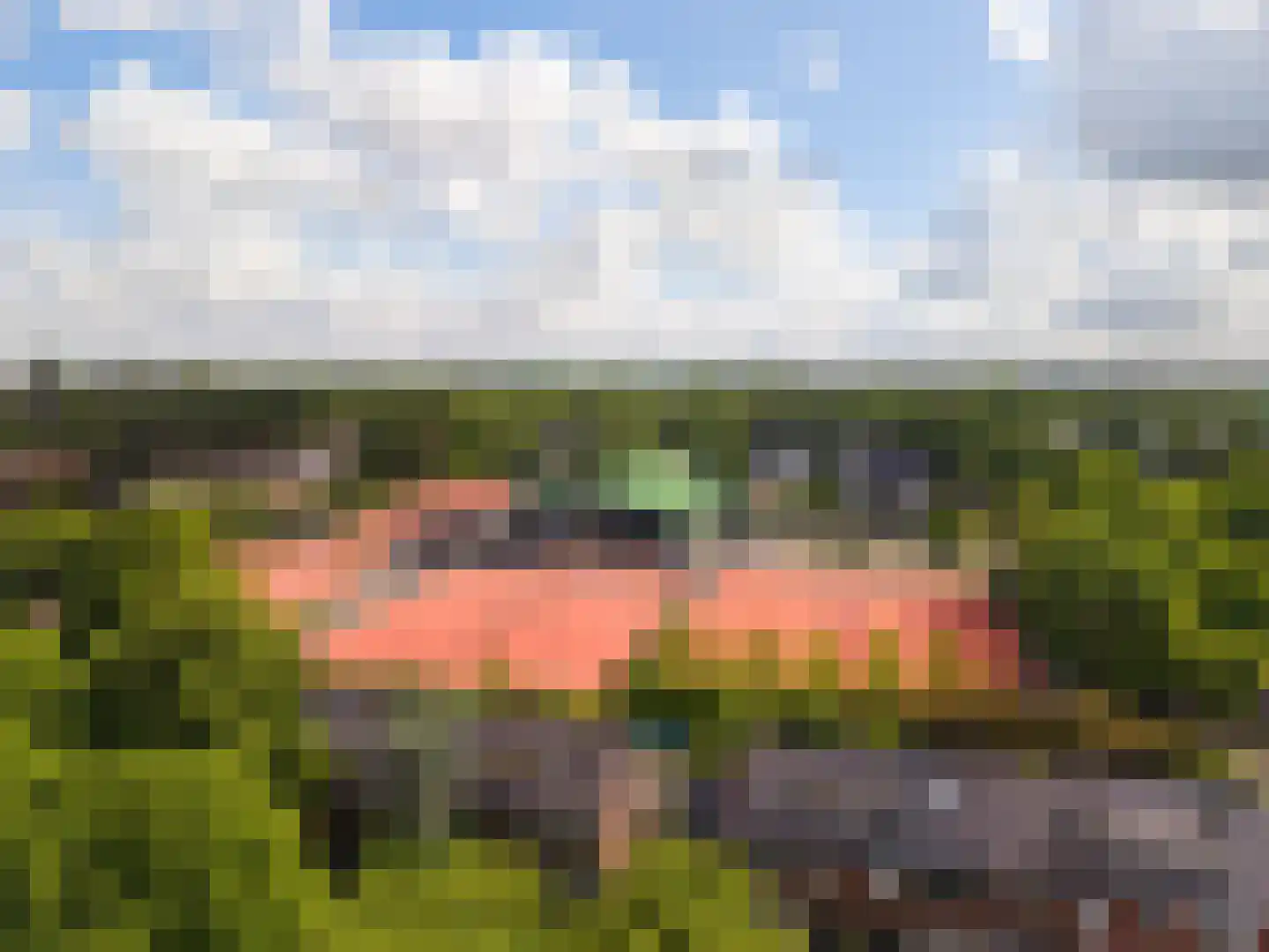 Acacialaan 5 Leiderdorp thumbnail 57