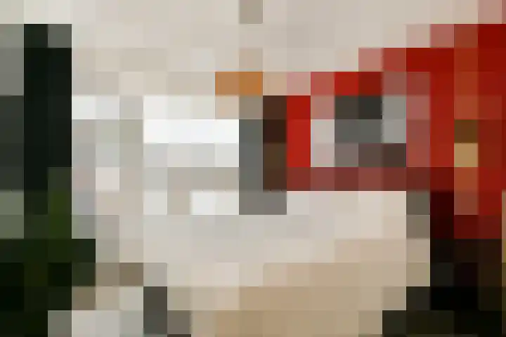 Acacialaan 5 Sassenheim thumbnail 12
