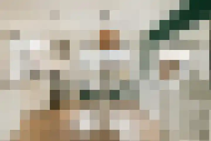 Acacialaan 5 Sassenheim thumbnail 4