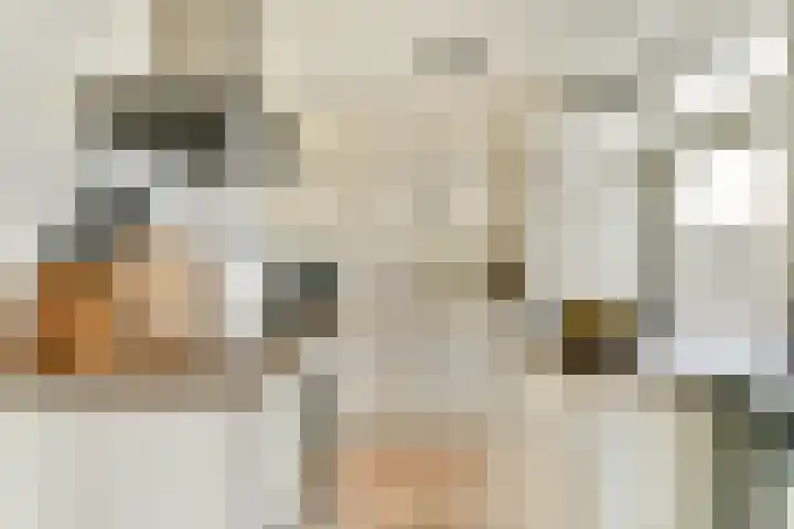 Acacialaan 5 Sassenheim thumbnail 6