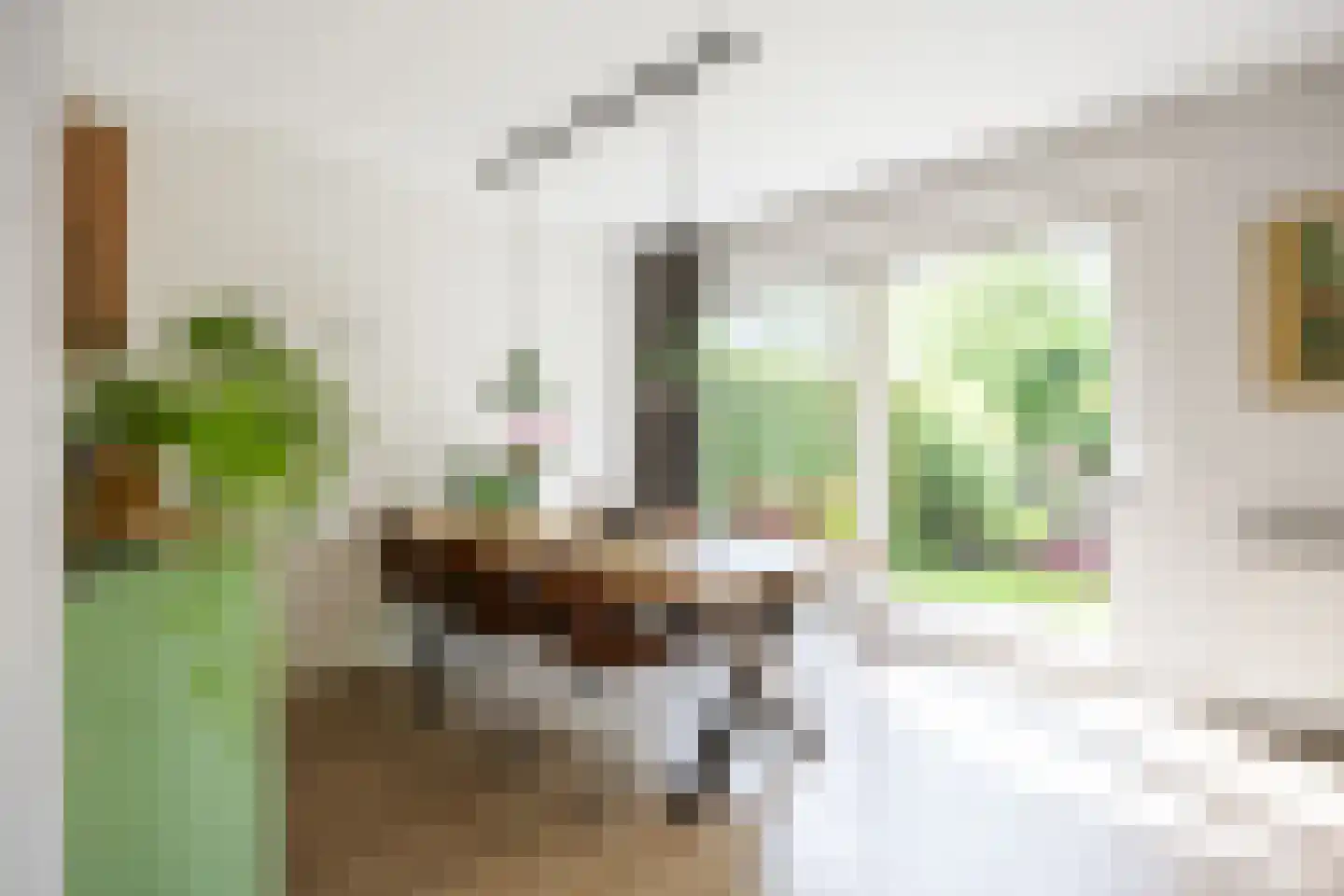 Acacialaan 50 Groningen thumbnail 11