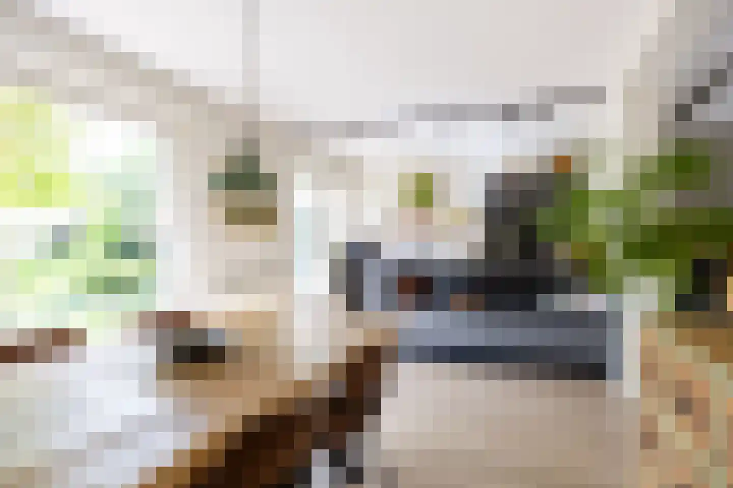 Acacialaan 50 Groningen thumbnail 13