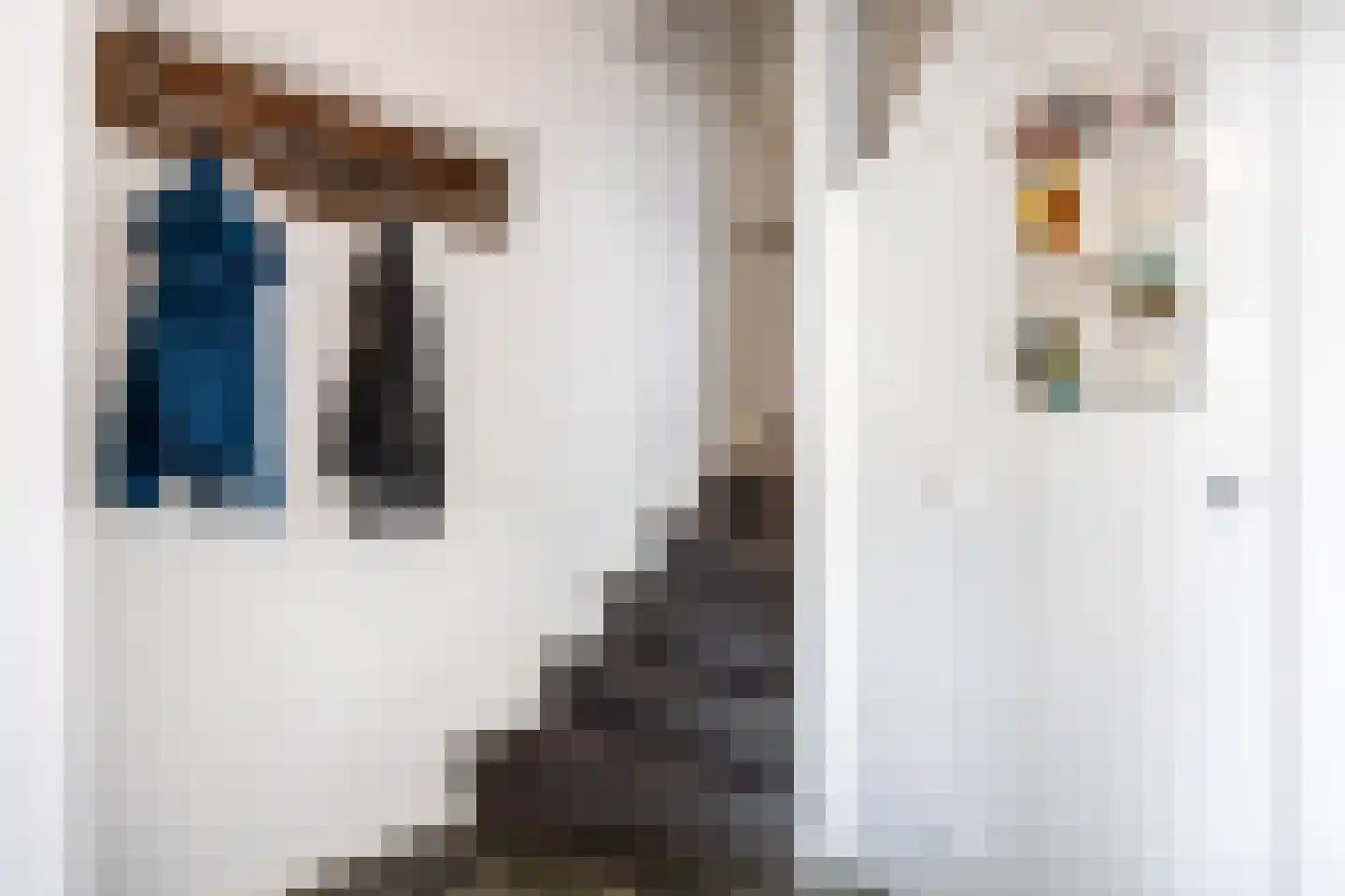 Acacialaan 50 Groningen thumbnail 19