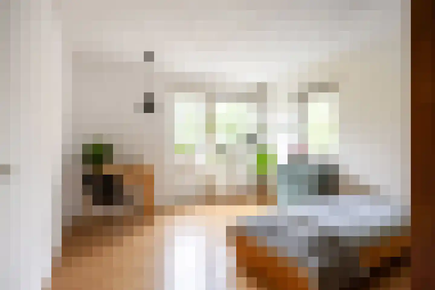 Acacialaan 50 Groningen thumbnail 22