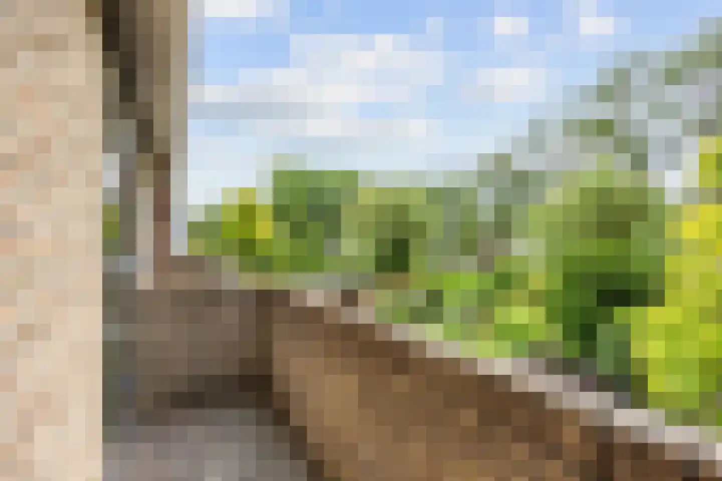 Acacialaan 50 Groningen thumbnail 24