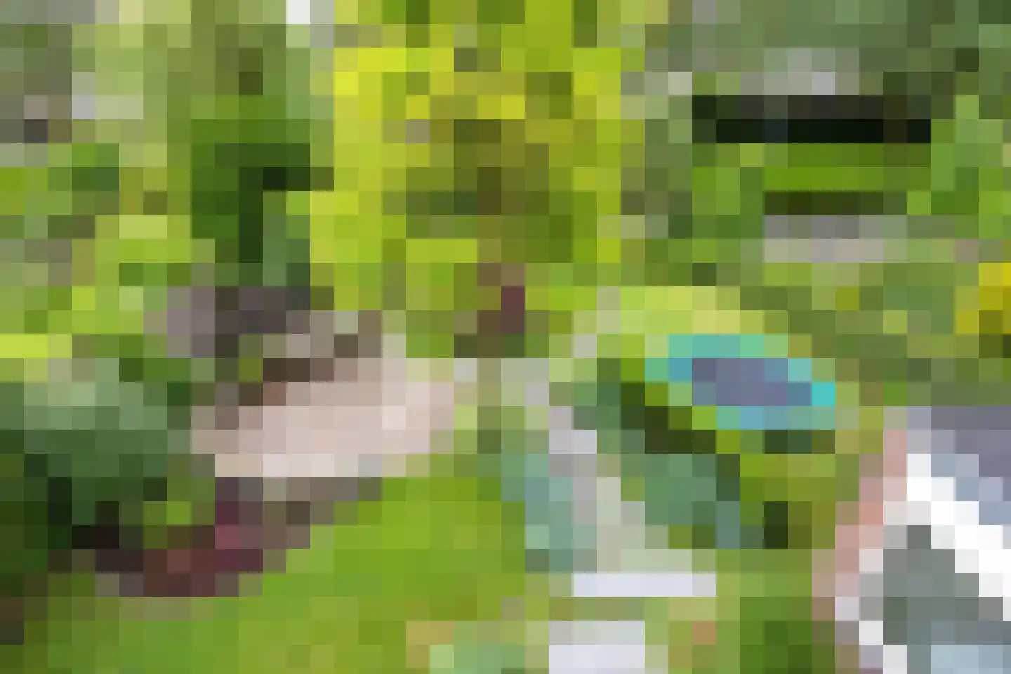 Acacialaan 50 Groningen thumbnail 25