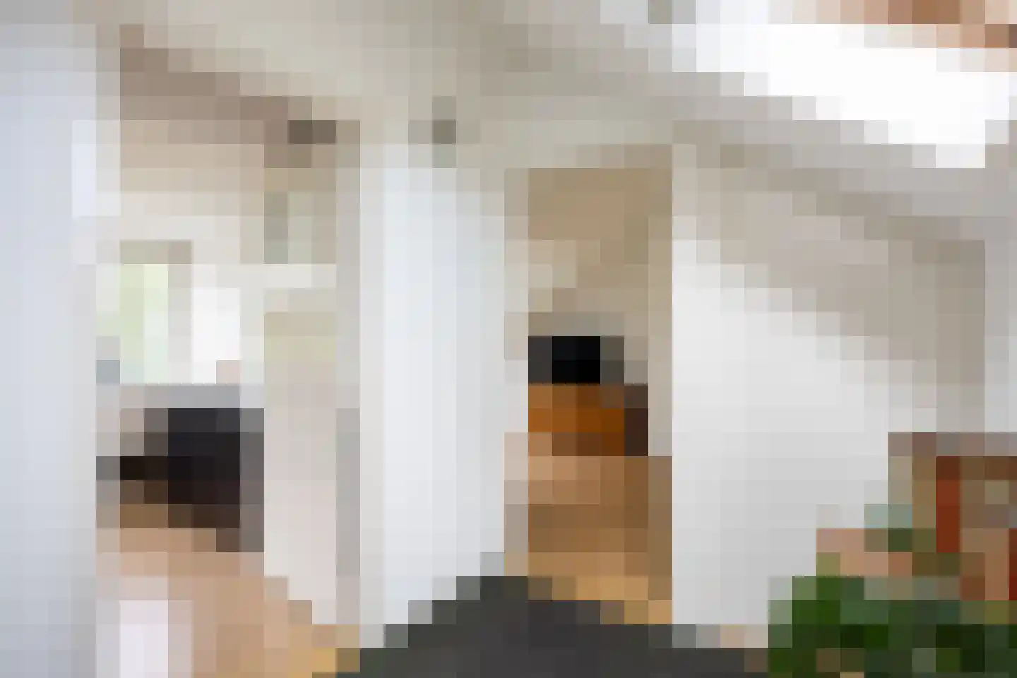 Acacialaan 50 Groningen thumbnail 33