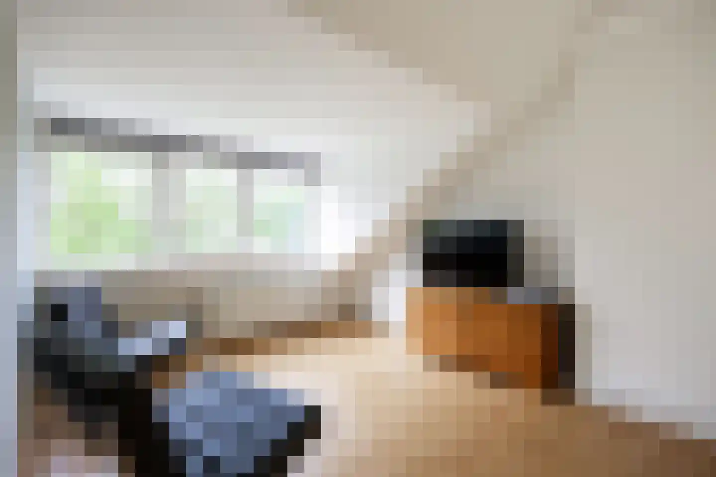 Acacialaan 50 Groningen thumbnail 36
