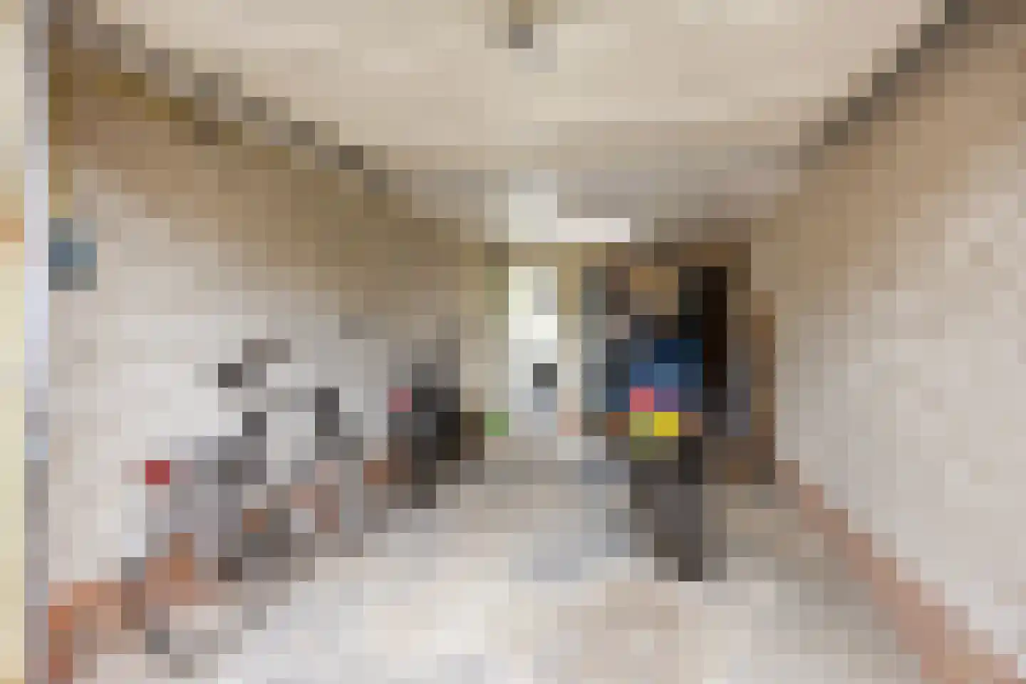 Acacialaan 50 Groningen thumbnail 37