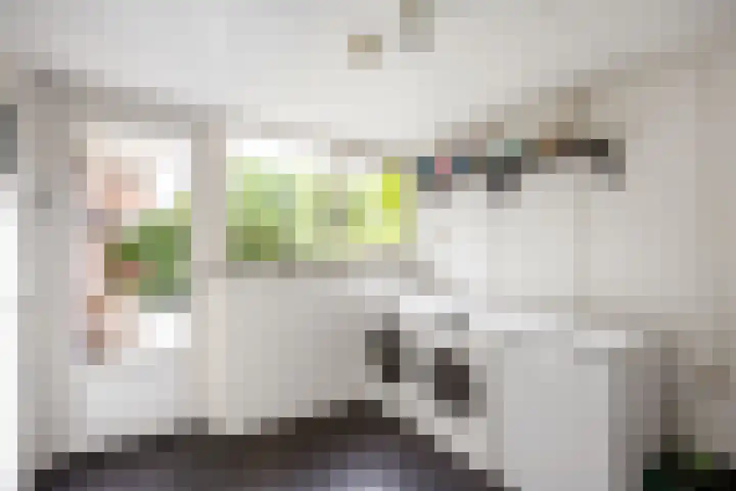 Acacialaan 50 Groningen thumbnail 38