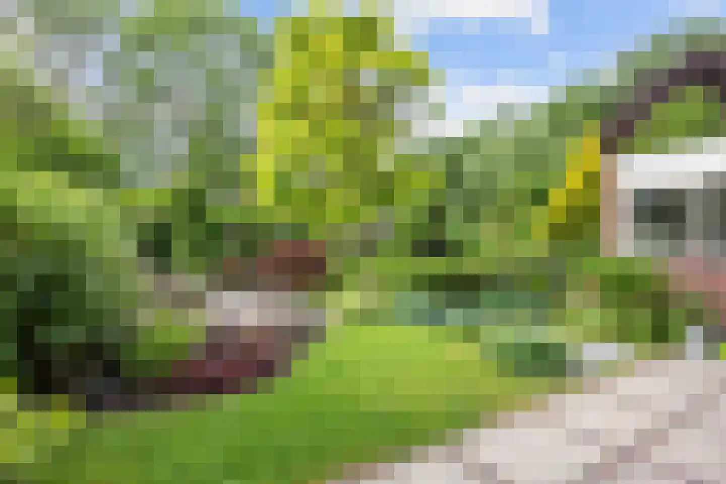 Acacialaan 50 Groningen thumbnail 41