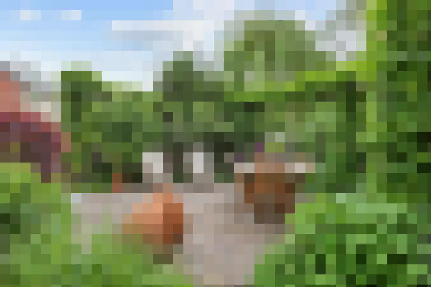 Acacialaan 50 Groningen thumbnail 44