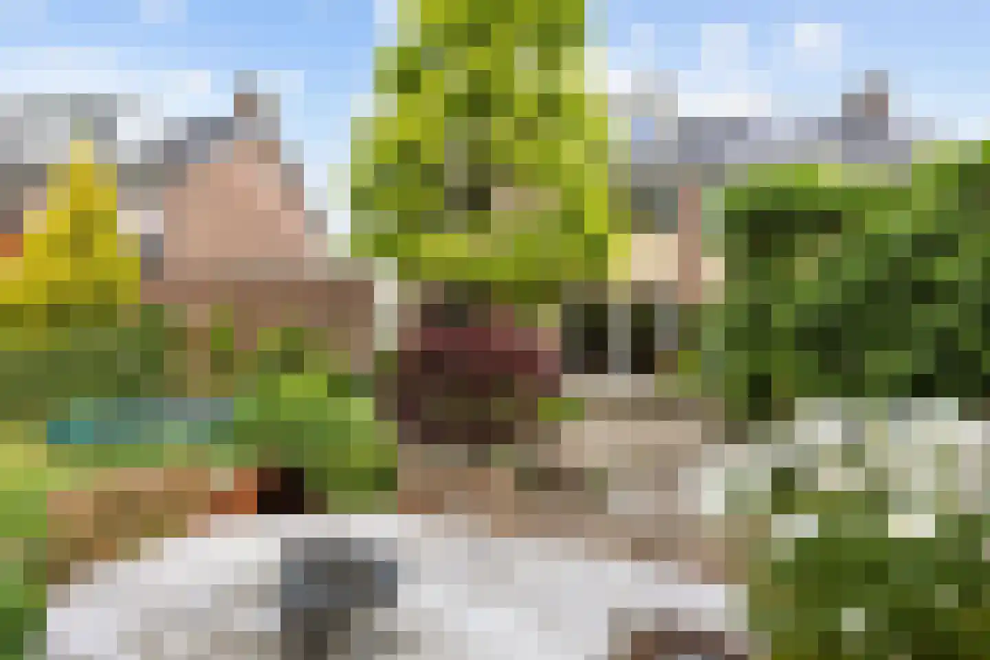 Acacialaan 50 Groningen thumbnail 45