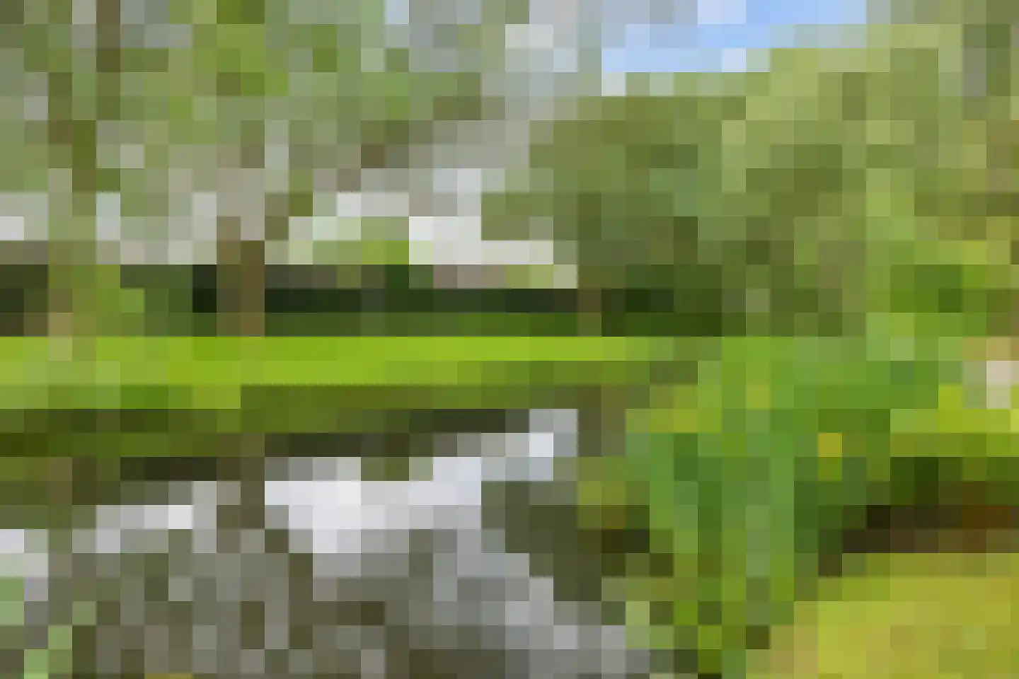 Acacialaan 50 Groningen thumbnail 49