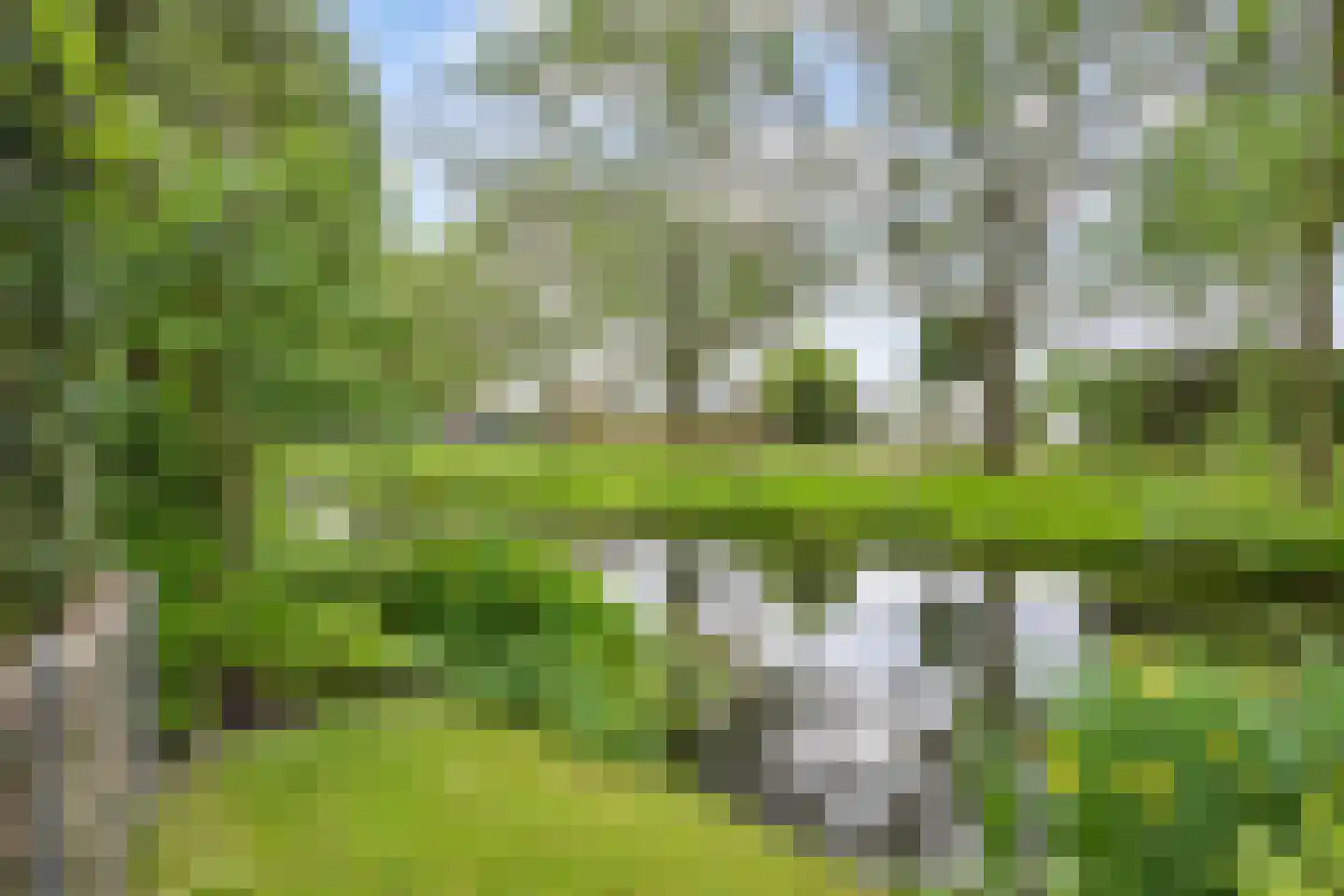 Acacialaan 50 Groningen thumbnail 50