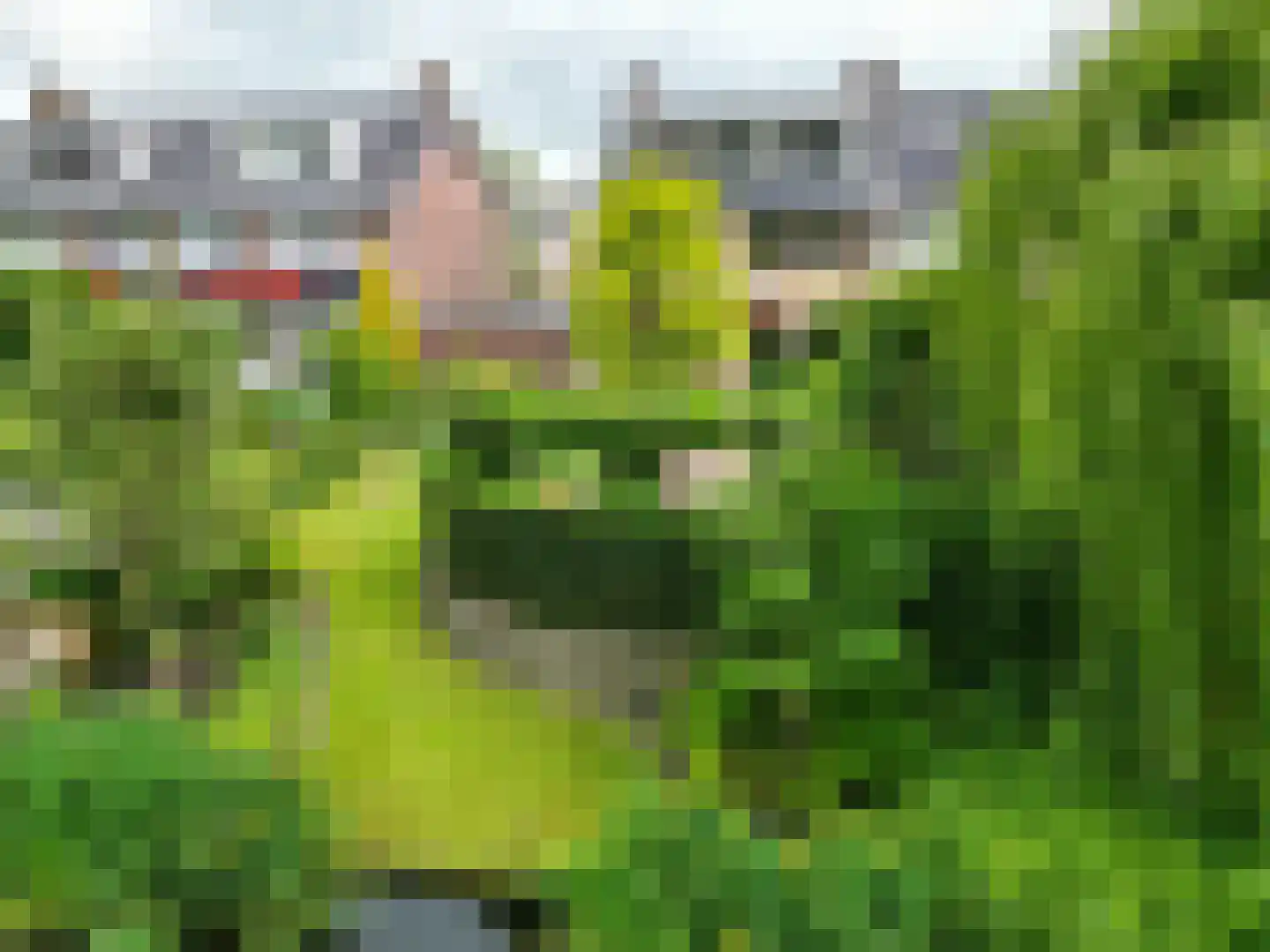 Acacialaan 50 Groningen thumbnail 52
